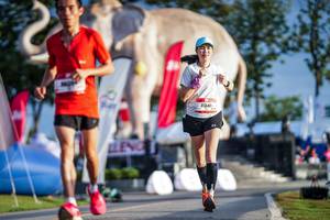 BIB: 
                            <button type="button" onclick="openModal(26541391)" class="btn btn-primary btn-sm float-right btn-popup" data-toggle="modal" data-target=".modal-high-quality">
                        <i class="fas fa-shopping-cart"></i> Add to Cart
                    </button>
                                            <button type="button" onclick="isThisMe(26541391, true)" class="btn btn-success btn-sm float-right btn-popup btn-isme hidden" data-toggle="tooltip" data-placement="bottom" title="นี่คือรูปของคุณใช่ไหม คลิกที่นี่เพื่อเอาเข้าอัลบั้ม">
                        <i class="fas fa-plus"></i> Add to album
                    </button>
                    <button type="button" onclick="isThisMe(26541391, false)" class="btn btn-warning btn-sm float-right btn-popup btn-isnotme hidden">
                        <i class="fas fa-ban"></i> Remove from album
                    </button>